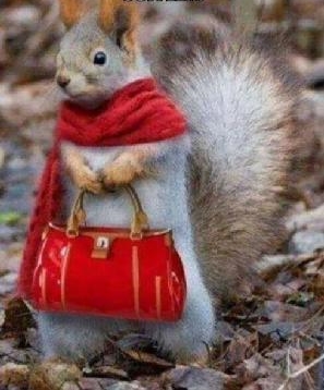 e2b5cc95-0623-4842-bdc9-5f6e78327e4c-medium